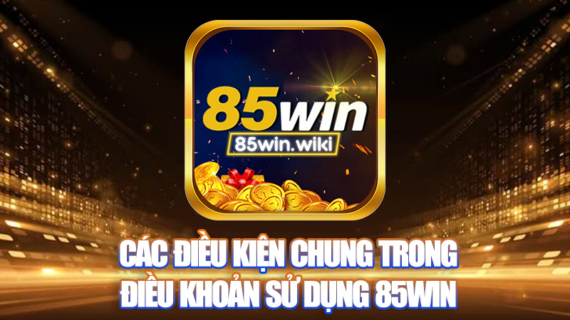 Các điều kiện chung trong Điều khoản sử dụng 85Win